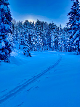 雪后山景