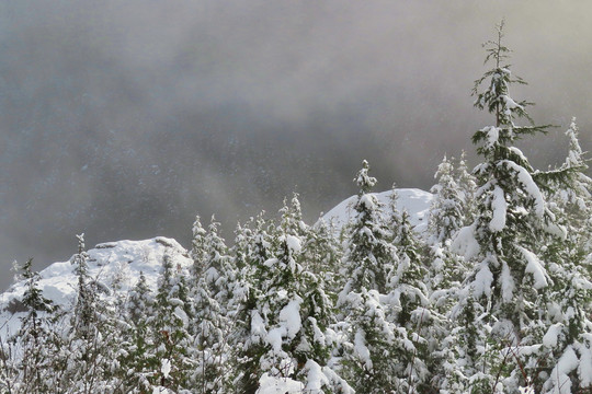 雪后山景