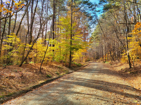山间小路