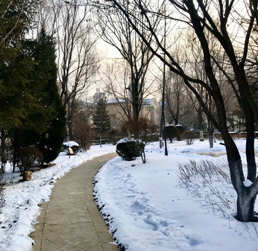 门前小路静无雪