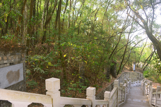 深圳赤湾左炮台步行石梯