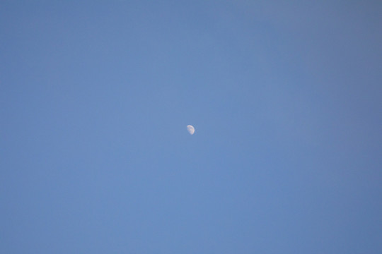 月亮夜空