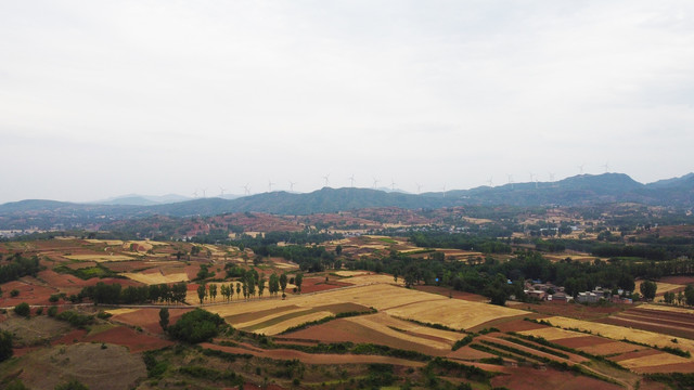 远山梯田