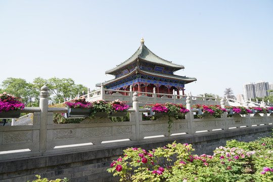 西安兴庆宫遗址公园