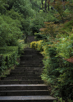 上虞龙山宁静的上山路