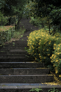 上虞龙山宁静的上山路