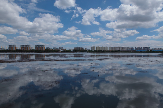 黎明湖公园