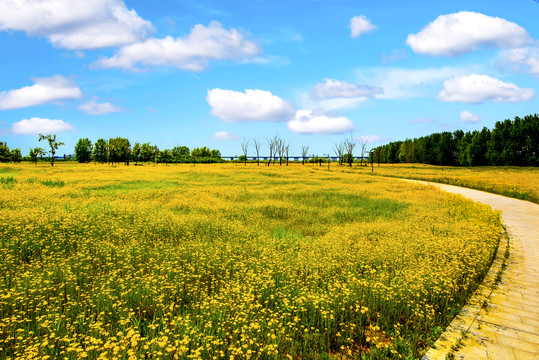 乡村田园风景