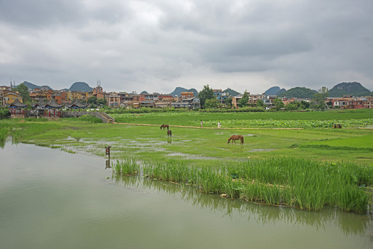 云南普者黑村