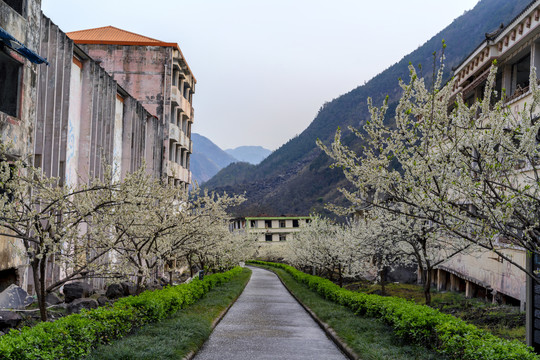 老北川地震遗址