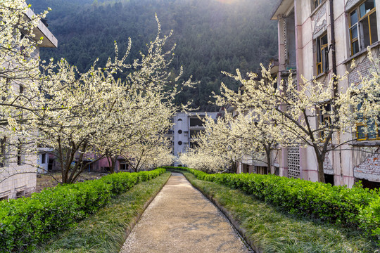 老北川地震遗址