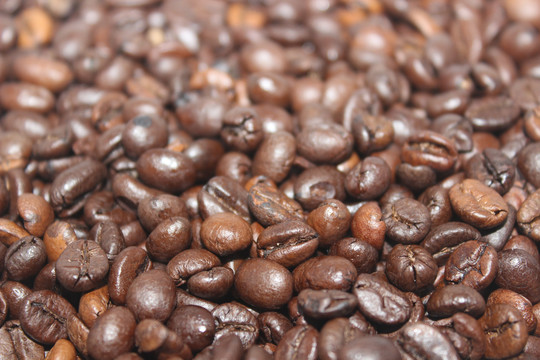 成品咖啡豆