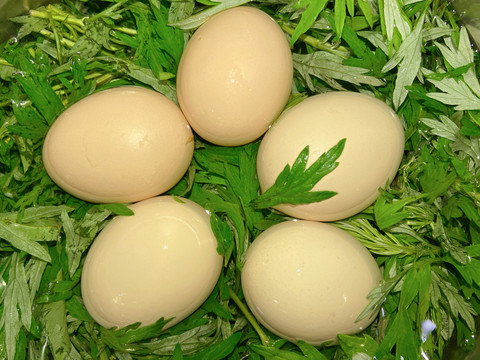 艾草鸡蛋