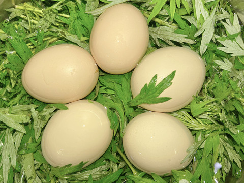 艾草鸡蛋