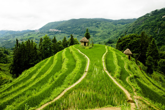 元阳梯田