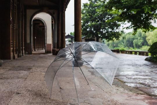 雨中的伞