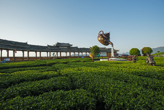 三江布央茶场