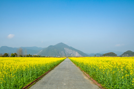 铜鉴湖公园春景