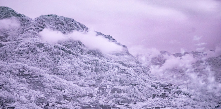 大山云雾