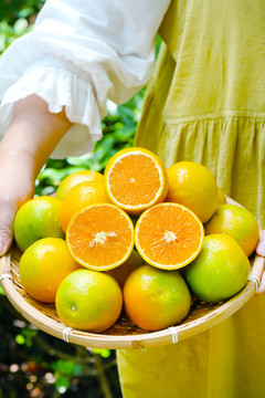 夏橙