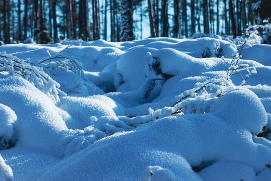 冬季森林积雪雪包