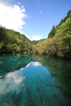 九寨沟清澈水面蓝天青山