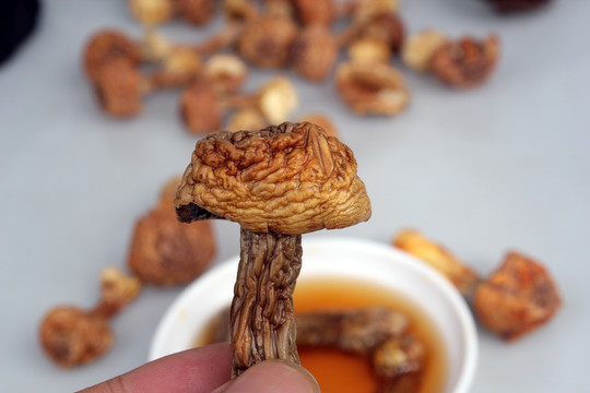 干货姬松茸巴西蘑菇