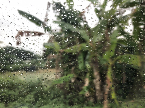 下雨天的窗外风景