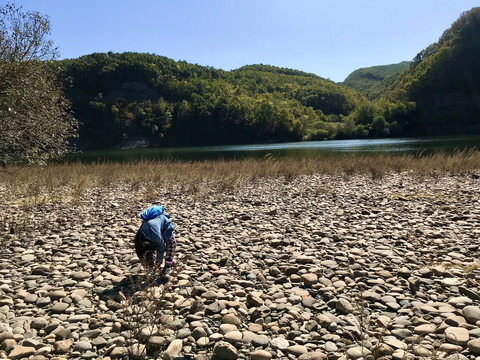 青山绿水捡石忙