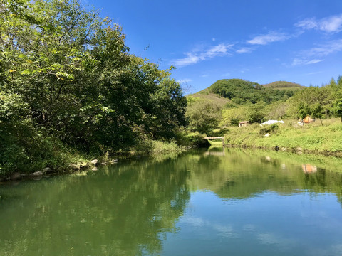 蓝天绿荫入池塘