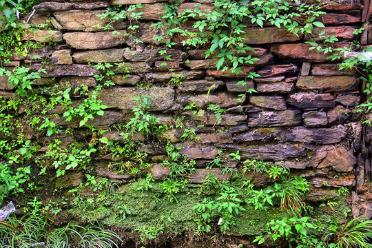 石头砌的墙