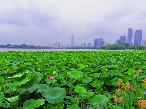 玄武湖公园