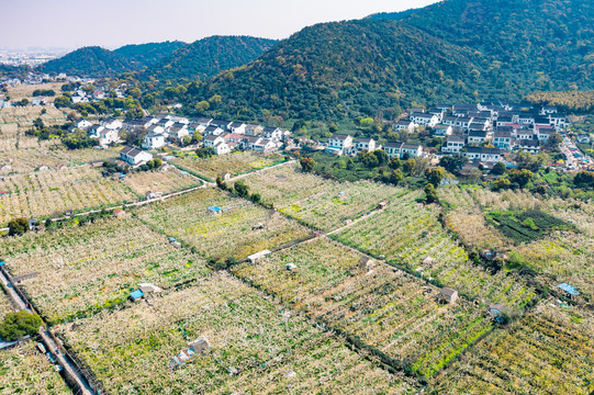 苏州高新区通安树山村