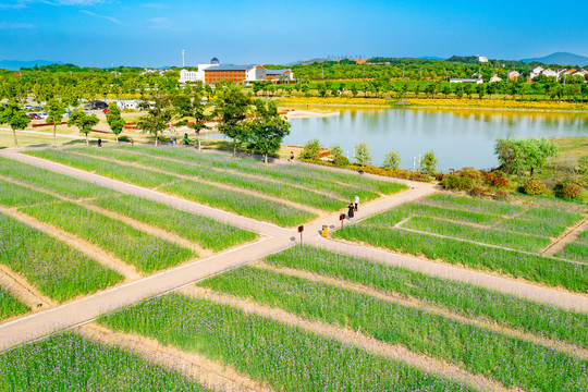 太湖边西京湾景区风光