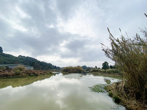 公园池塘景观