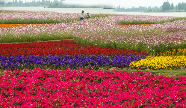 花海