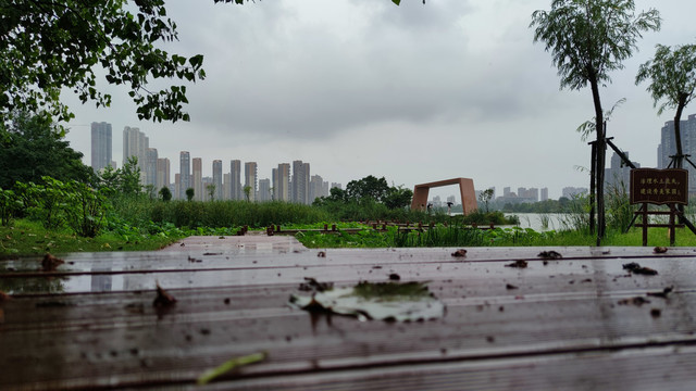 城边的雨中景