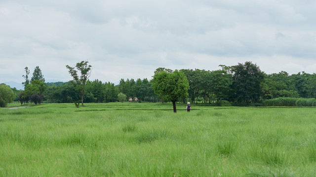 杭州良渚遗址公园