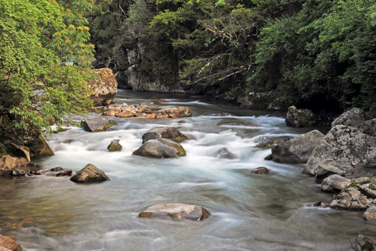 尼汝