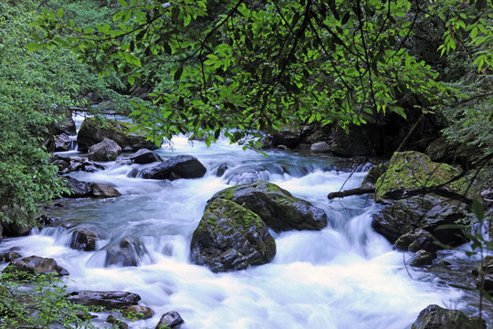 尼汝