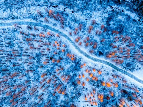 崂山雪景