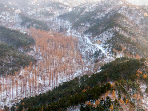 青岛崂山