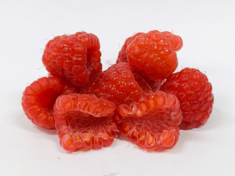 红树莓