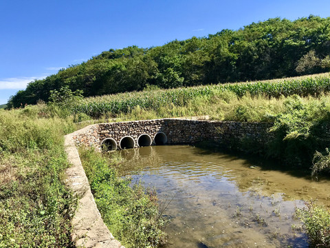 石桥渠水孤色寂