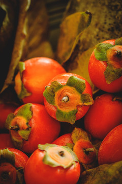 落叶上的柿子果