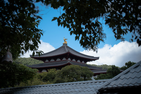 舟山市普陀山风景