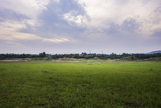 湿地草甸