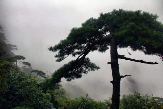 江西三清山