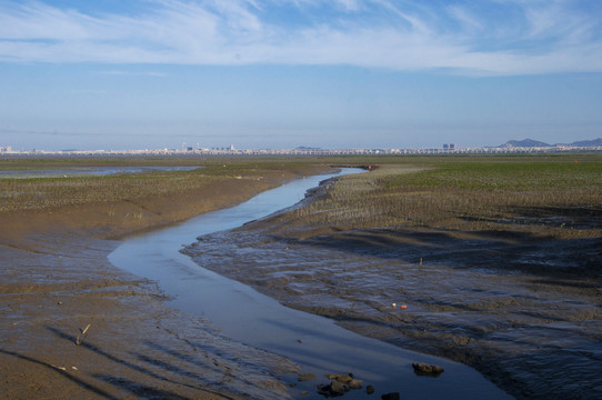 河口湿地滩涂生态