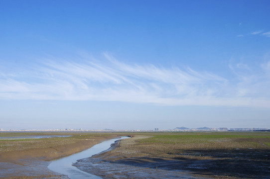 晋江河口湿地生态环境